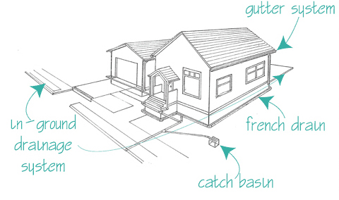 Comprehensive_Drainage_Diagram-950062492